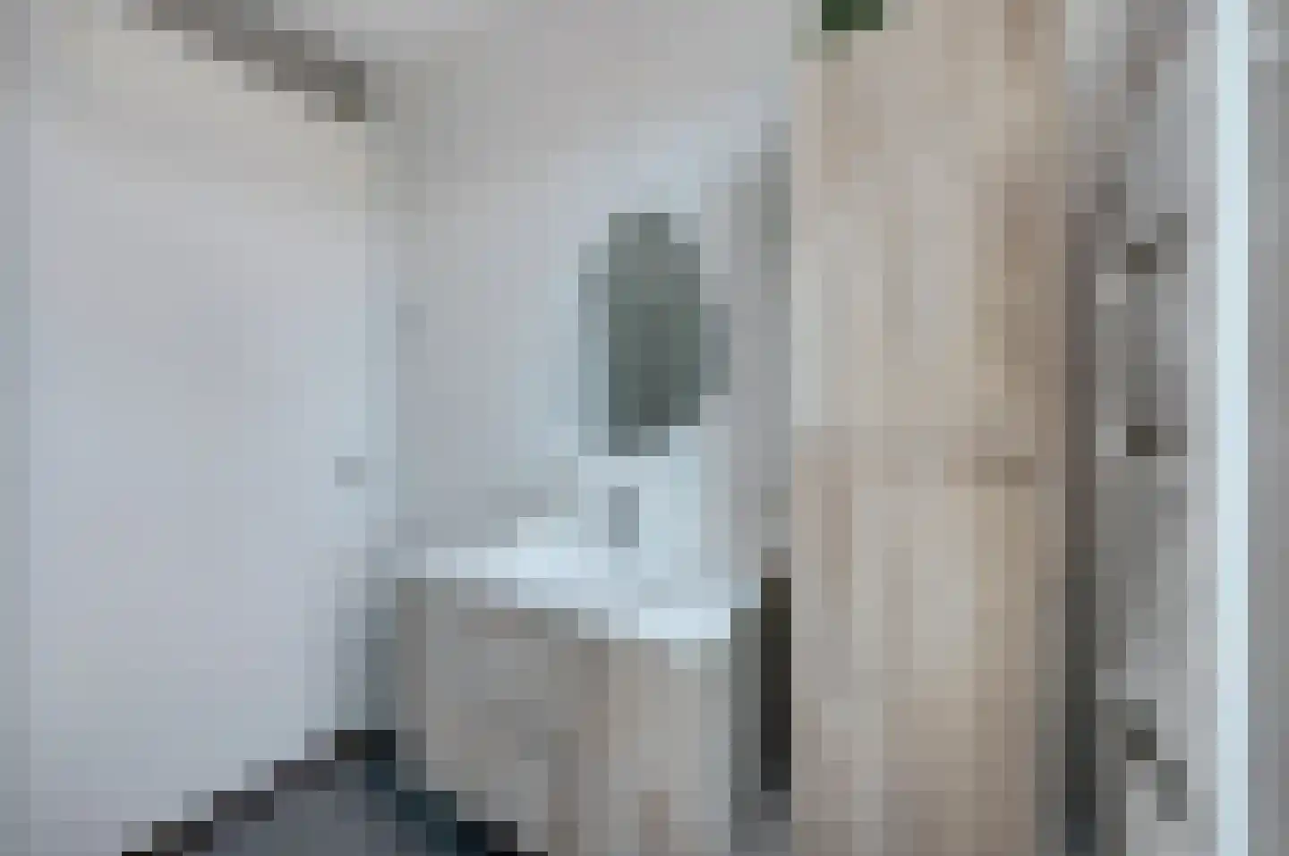 Laan van Indië 5 c Almelo thumbnail 23