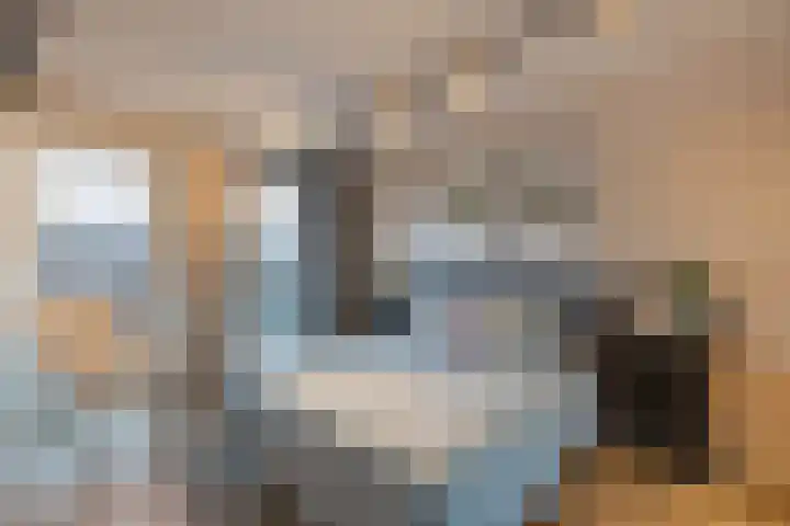 Laan van Indië 55 Almelo thumbnail 17