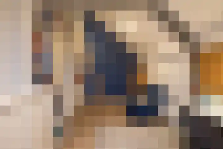 Laan van Indië 55 Almelo thumbnail 25