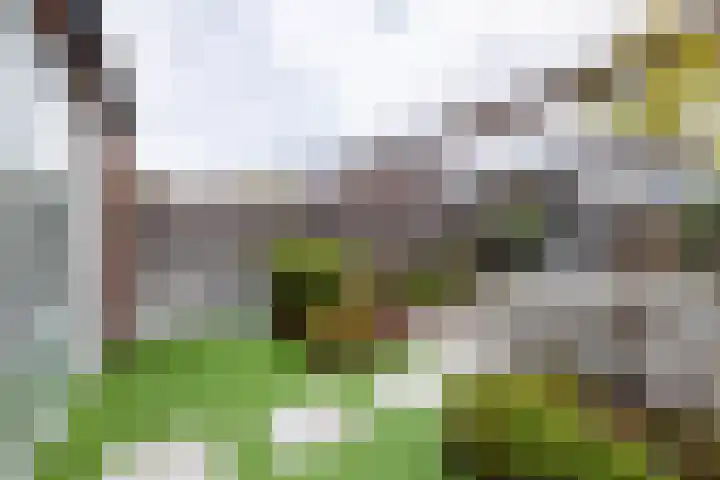 Laan van Indië 55 Almelo thumbnail 27