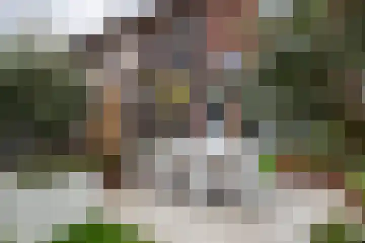 Laan van Indië 55 Almelo thumbnail 29