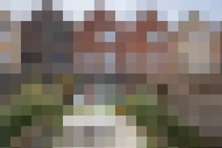 Laan van Indië 55 Almelo thumbnail 30