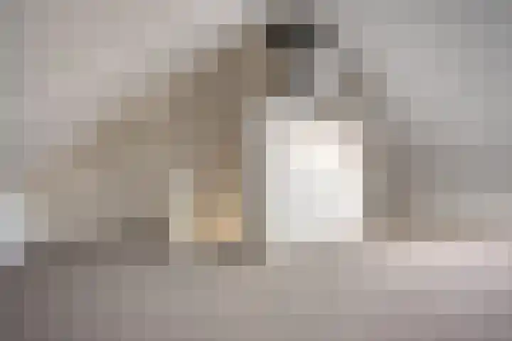 Laan van Indië 71 Almelo thumbnail 23