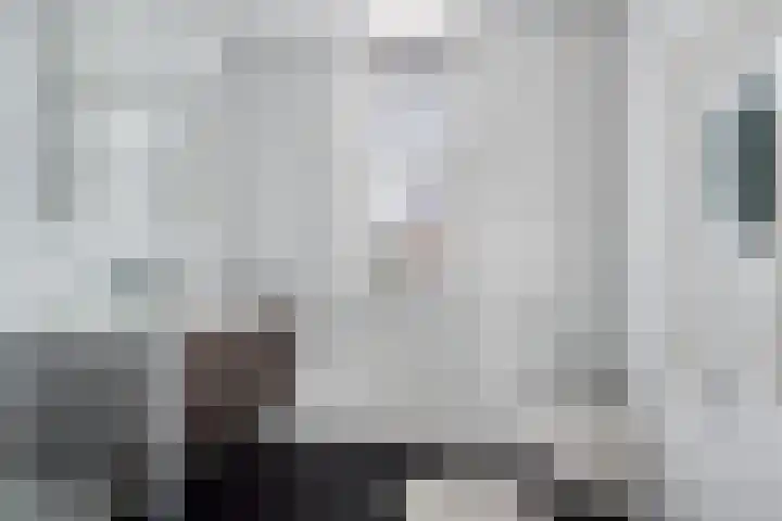 Laan van Indië 71 Almelo thumbnail 6