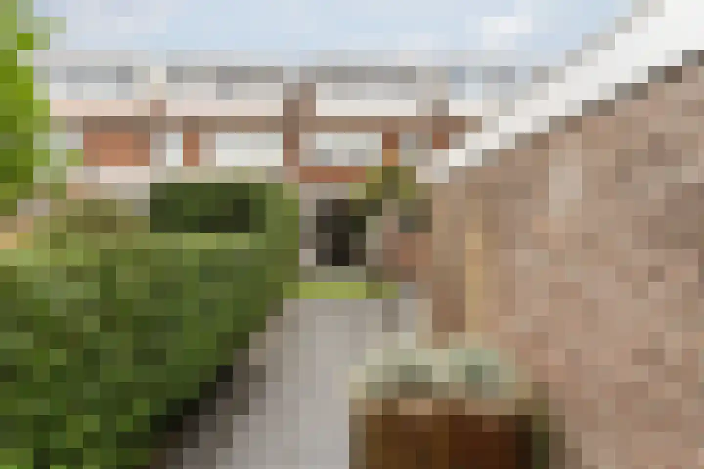 Laan van Kanaän 34 Beverwijk thumbnail 19