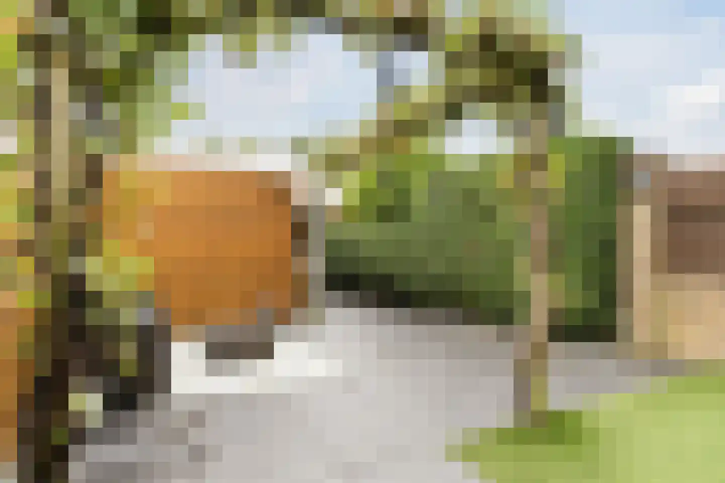 Laan van Kanaän 34 Beverwijk thumbnail 20