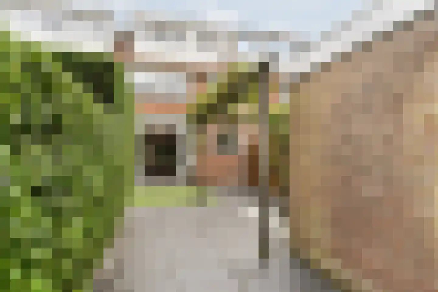 Laan van Kanaän 34 Beverwijk thumbnail 22