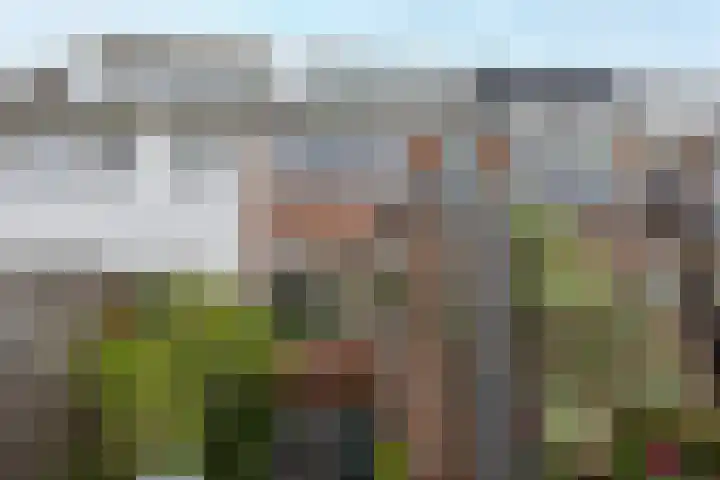 Laan van Kanaän 5 Beverwijk thumbnail 12