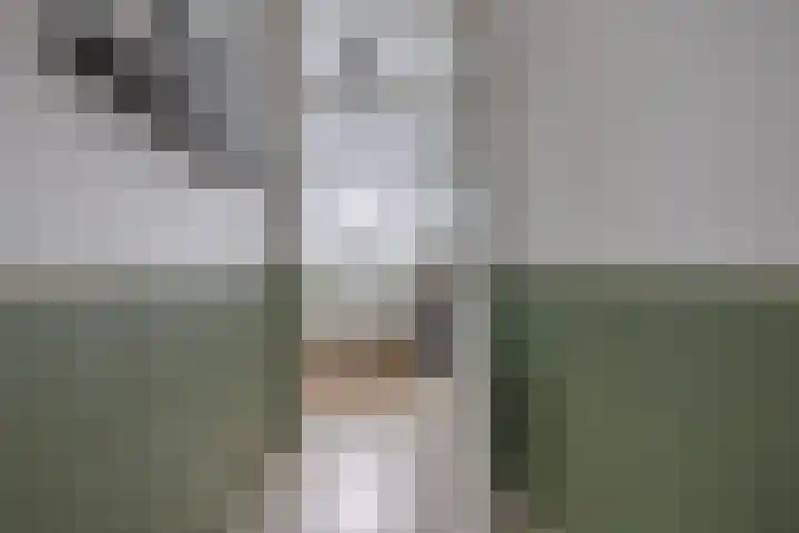 Laan van Kanaän 5 Beverwijk thumbnail 13