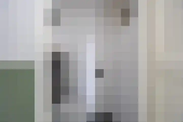 Laan van Kanaän 5 Beverwijk thumbnail 15