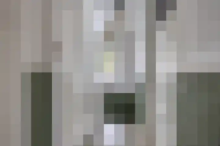 Laan van Kanaän 5 Beverwijk thumbnail 16