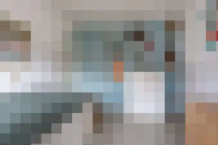 Laan van Kanaän 5 Beverwijk thumbnail 20