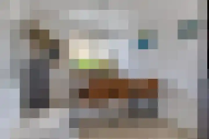 Laan van Kanaän 5 Beverwijk thumbnail 5