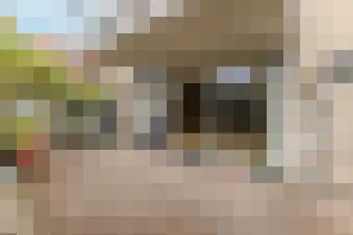 Laan van Kanaän 82 Beverwijk thumbnail 11
