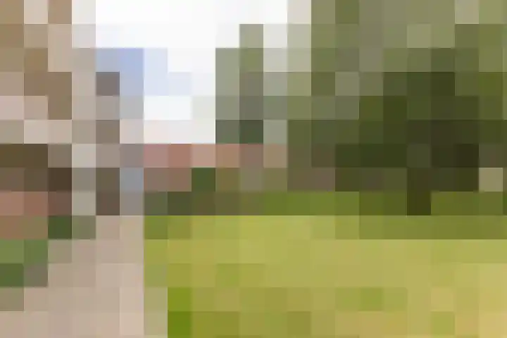 Laan van Kanaän 82 Beverwijk thumbnail 28