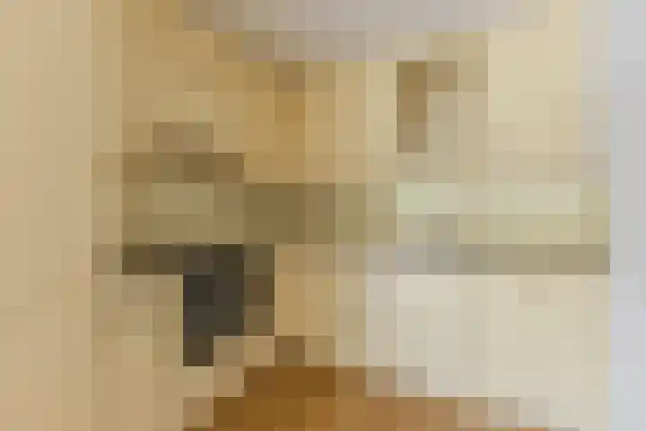 Laan van Kanaän 82 Beverwijk thumbnail 7