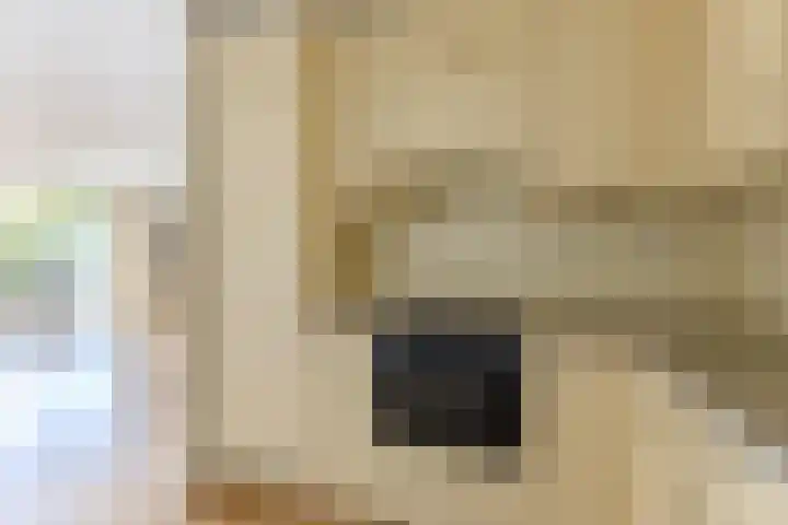 Laan van Kanaän 82 Beverwijk thumbnail 8