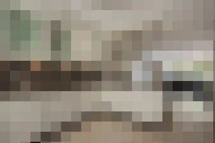 Laan van Kans 20 Den Haag thumbnail 10