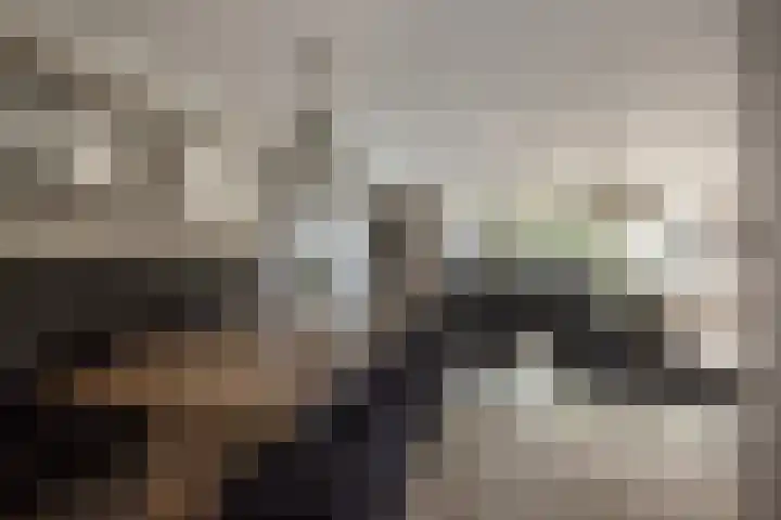 Laan van Kans 20 Den Haag thumbnail 11