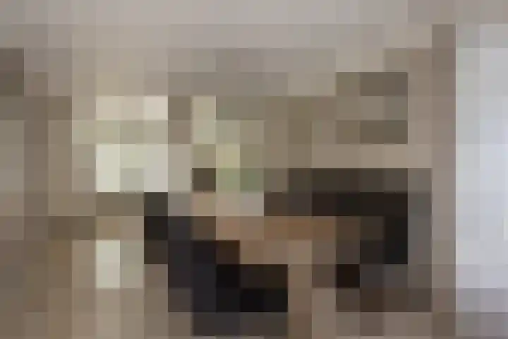 Laan van Kans 20 Den Haag thumbnail 12