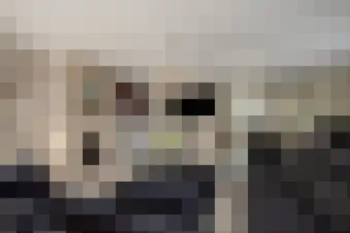 Laan van Kans 20 Den Haag thumbnail 13