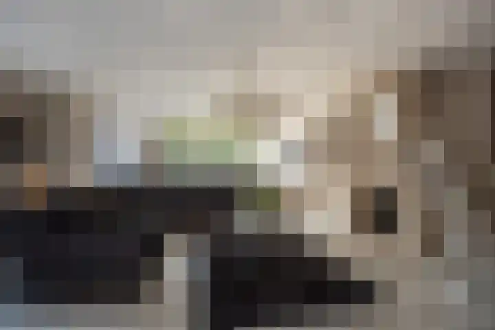 Laan van Kans 20 Den Haag thumbnail 14