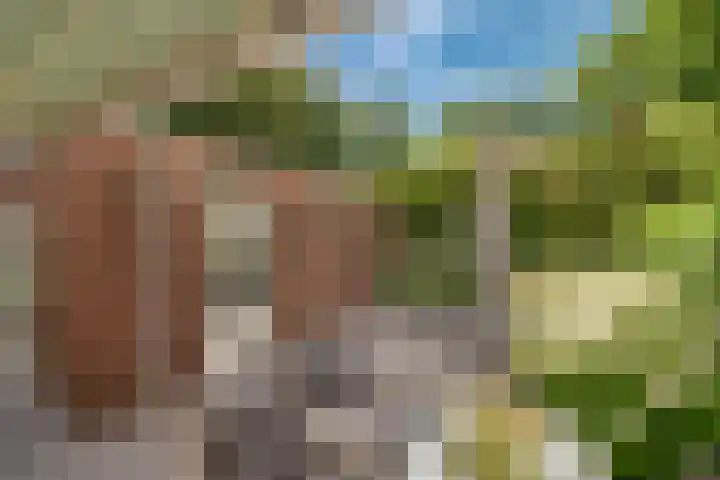 Laan van Kans 20 Den Haag thumbnail 16