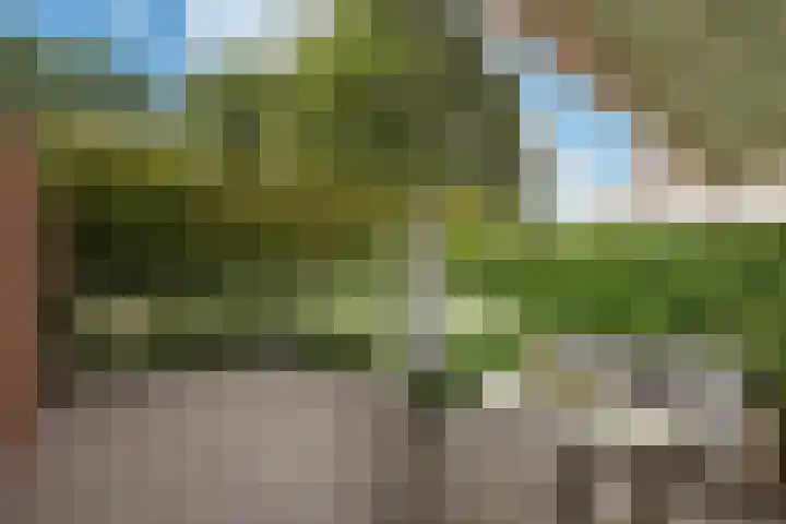 Laan van Kans 20 Den Haag thumbnail 17