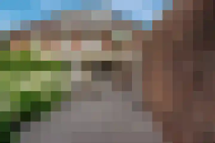 Laan van Kans 20 Den Haag thumbnail 19
