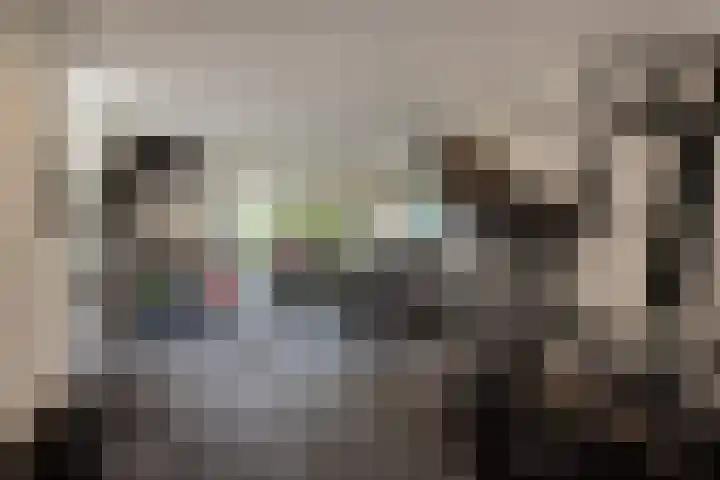 Laan van Kans 20 Den Haag thumbnail 20
