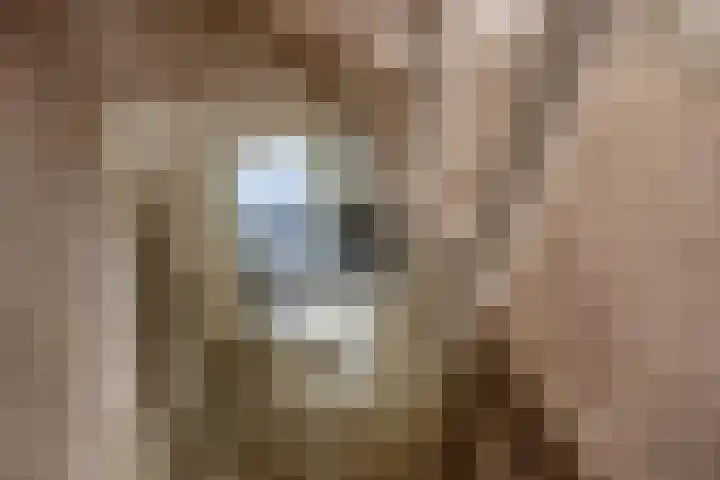 Laan van Kans 20 Den Haag thumbnail 23