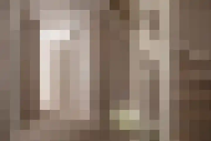Laan van Kans 20 Den Haag thumbnail 24