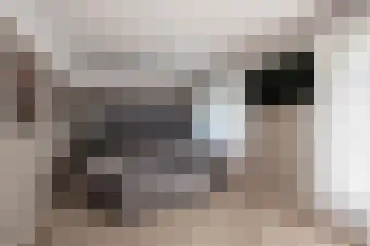 Laan van Kans 20 Den Haag thumbnail 25