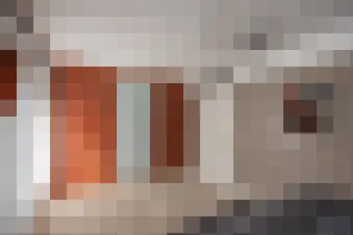 Laan van Kans 20 Den Haag thumbnail 26