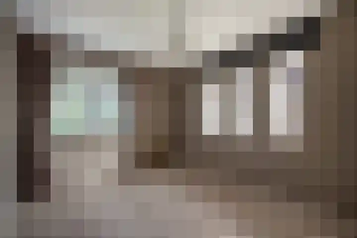 Laan van Kans 20 Den Haag thumbnail 28