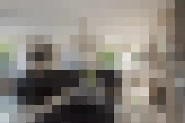 Laan van Kans 20 Den Haag foto 3