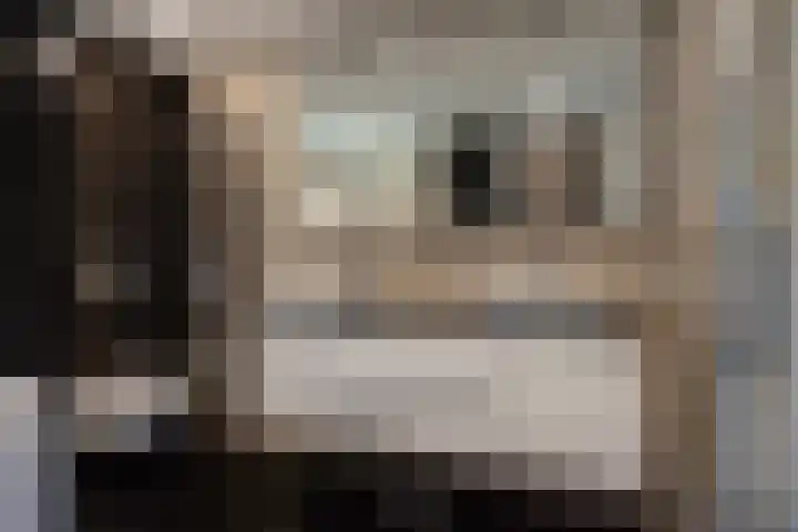 Laan van Kans 20 Den Haag thumbnail 30