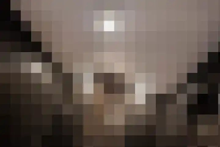 Laan van Kans 20 Den Haag thumbnail 33