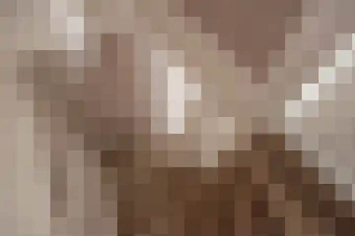 Laan van Kans 20 Den Haag thumbnail 34