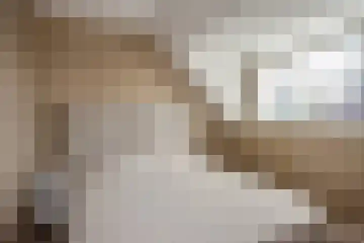 Laan van Kans 20 Den Haag thumbnail 37