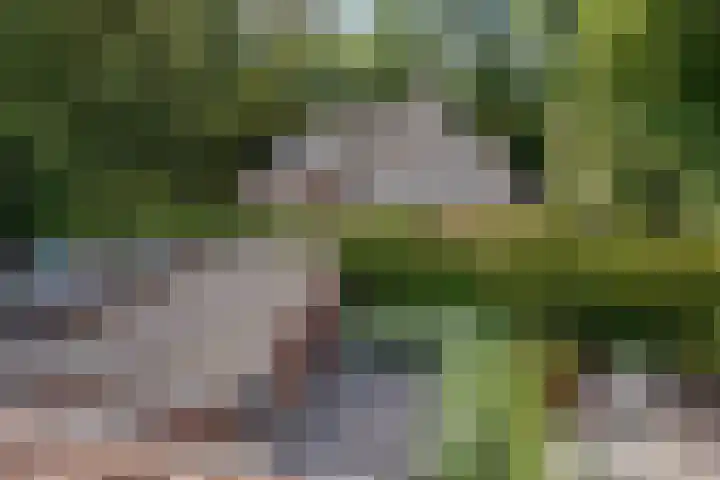 Laan van Kans 20 Den Haag thumbnail 38