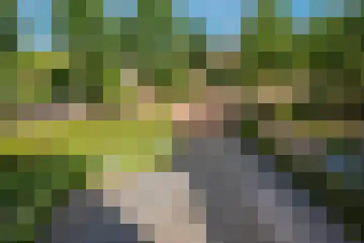 Laan van Kans 20 Den Haag thumbnail 39