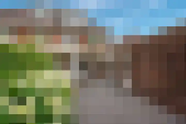 Laan van Kans 20 Den Haag thumbnail 5
