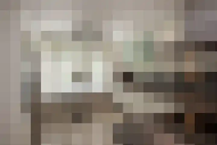 Laan van Kans 20 Den Haag thumbnail 8