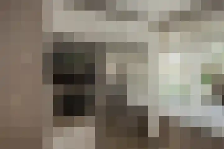 Laan van Kans 20 Den Haag thumbnail 9