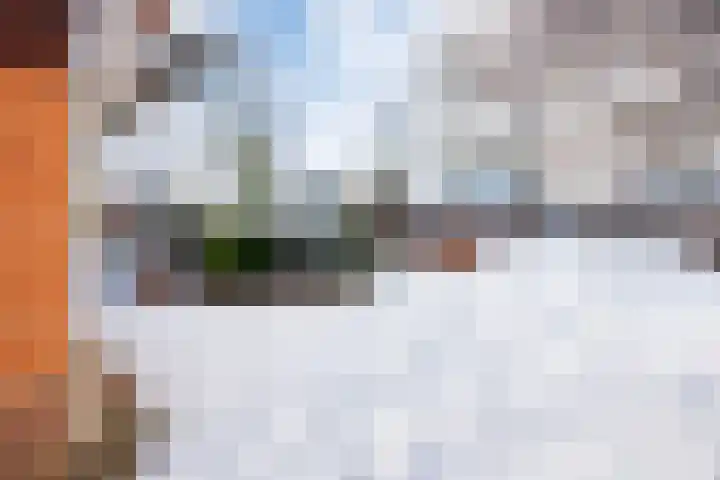 Laan van Kans 33 Den Haag thumbnail 11