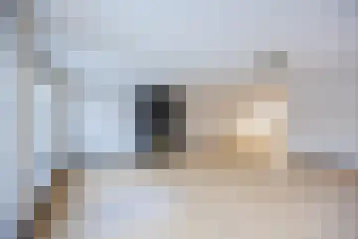 Laan van Kans 33 Den Haag thumbnail 16