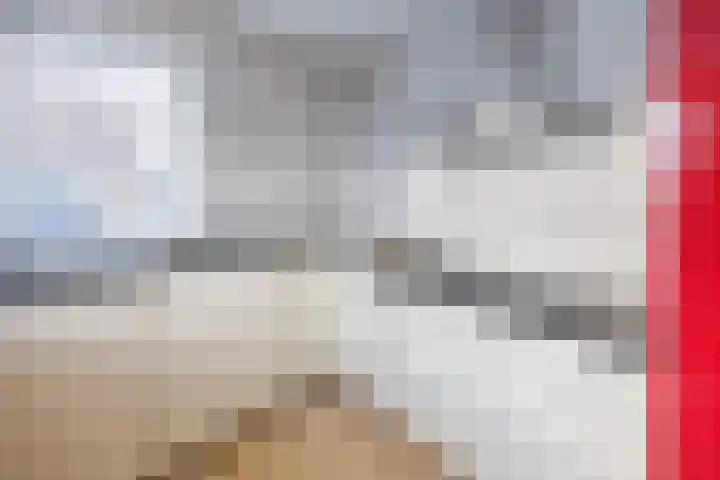 Laan van Kans 33 Den Haag thumbnail 22