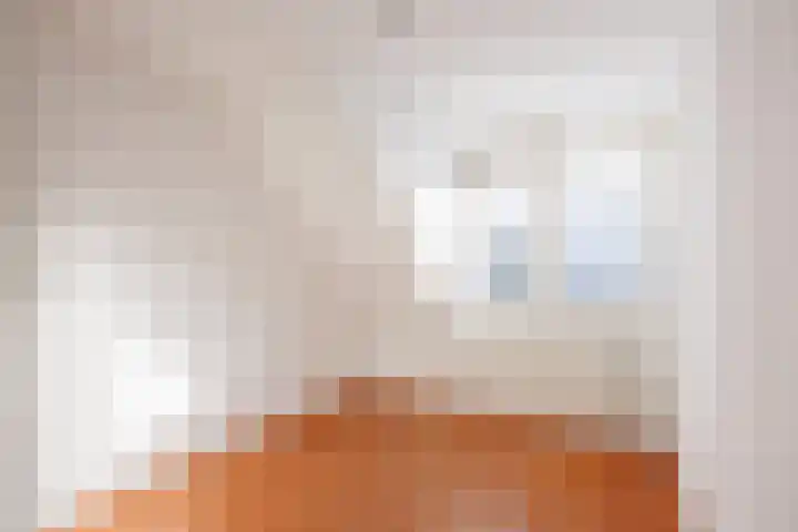 Laan van Kans 33 Den Haag thumbnail 29