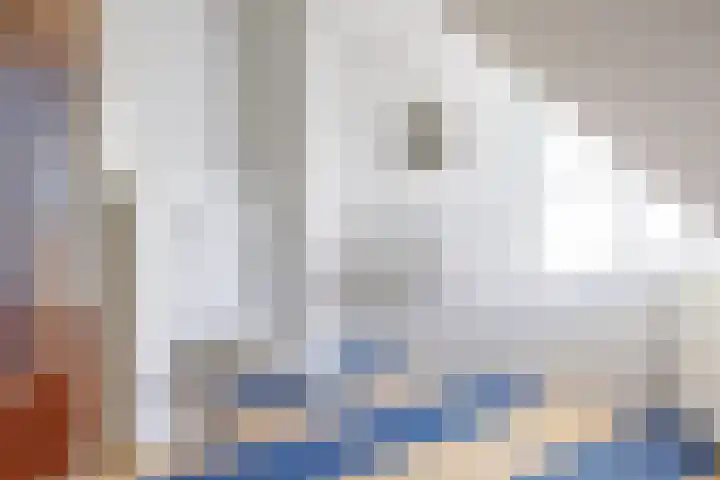 Laan van Kans 33 Den Haag thumbnail 31